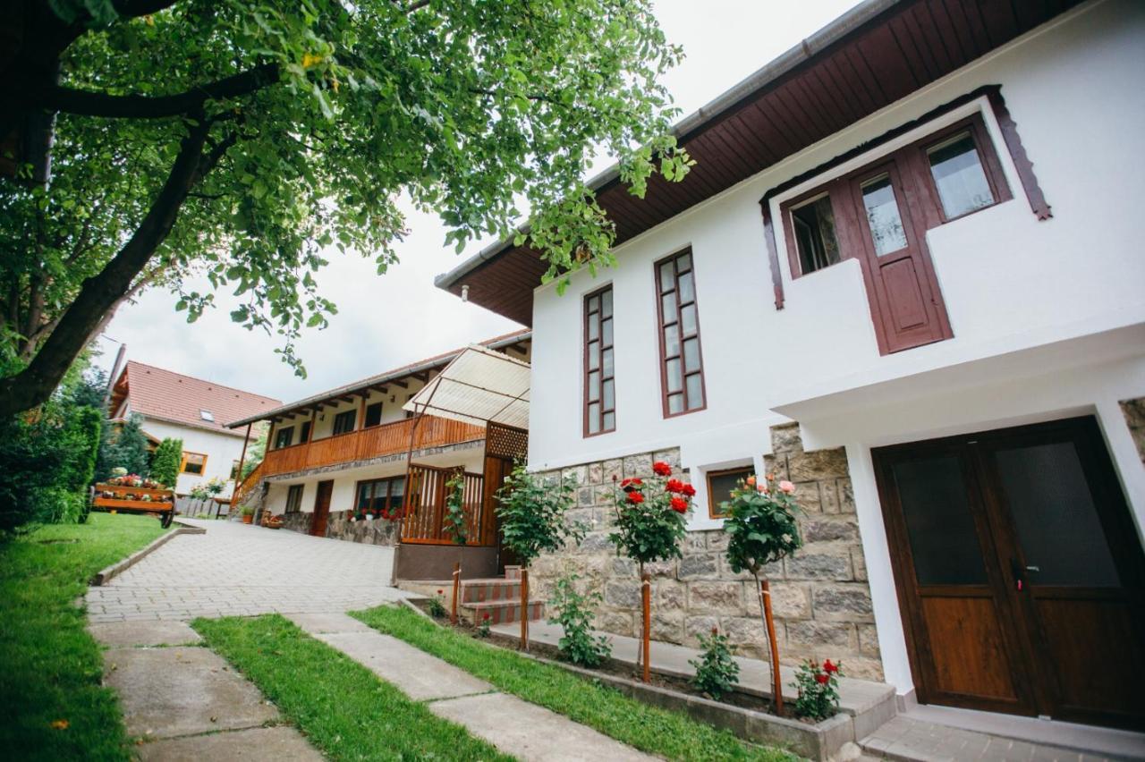 Gyongyvirag Panzio Hotel Lupeni  Exterior foto